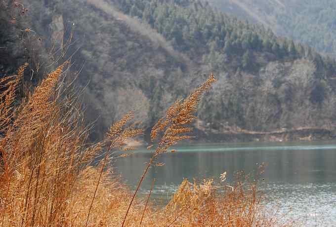 怀沙河鸟调 怀沙河鸟调