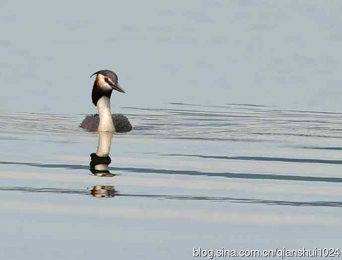 风头(pt)渐渐远去