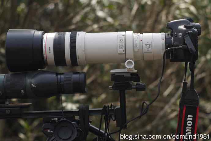 1120mm的加料大白拍海鸥