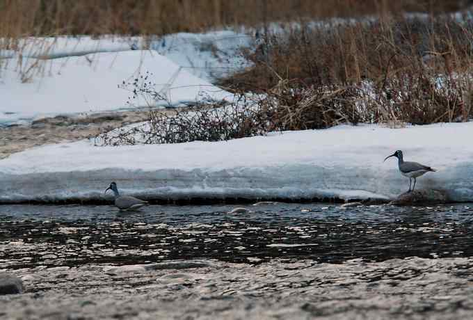 白河峡谷三月雪