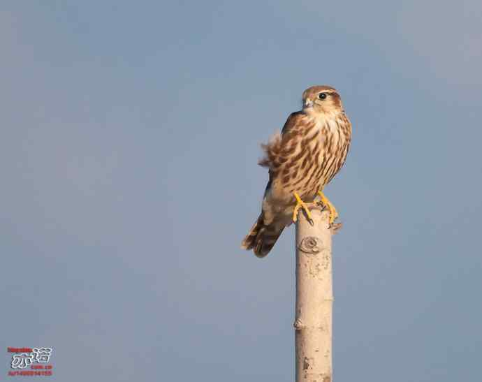 官厅水库 wbr路 wbr金秋十一猛 官厅水库 wbr路 wbr金秋十一猛