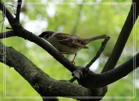 我的大生活之鈥溕隳衿濃2