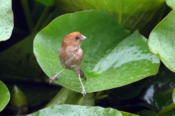杭州老郑摄影续
