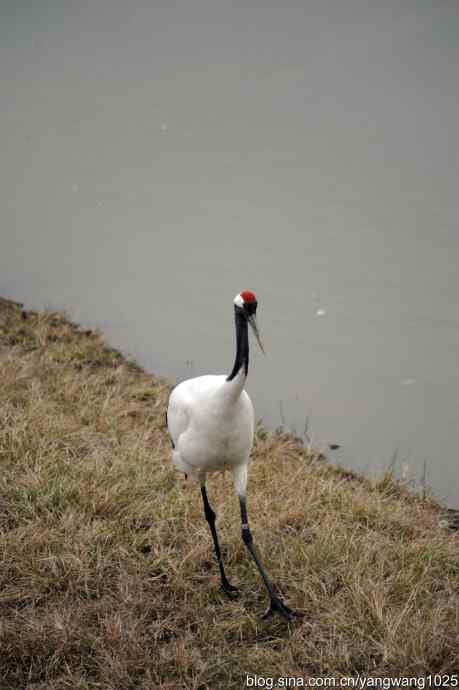 晚秋寻美 wbr wbr3