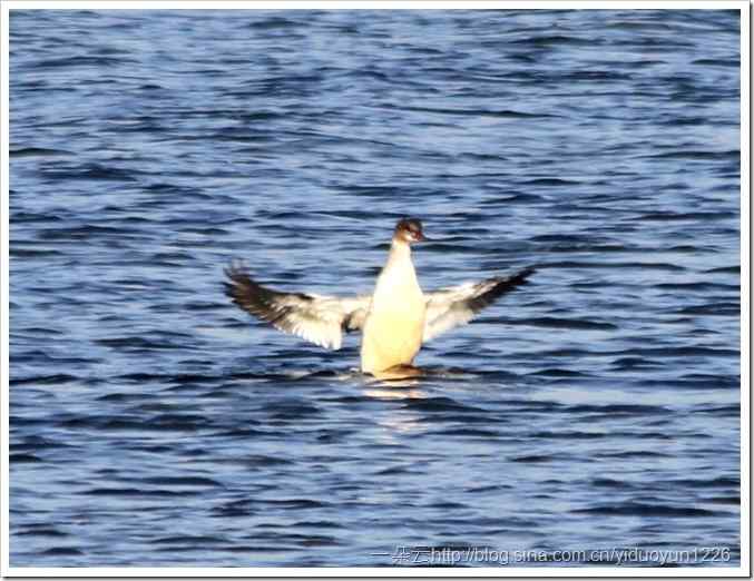 20111023-504_thumb11