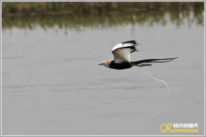 记录鈥溗翕潯菊掌