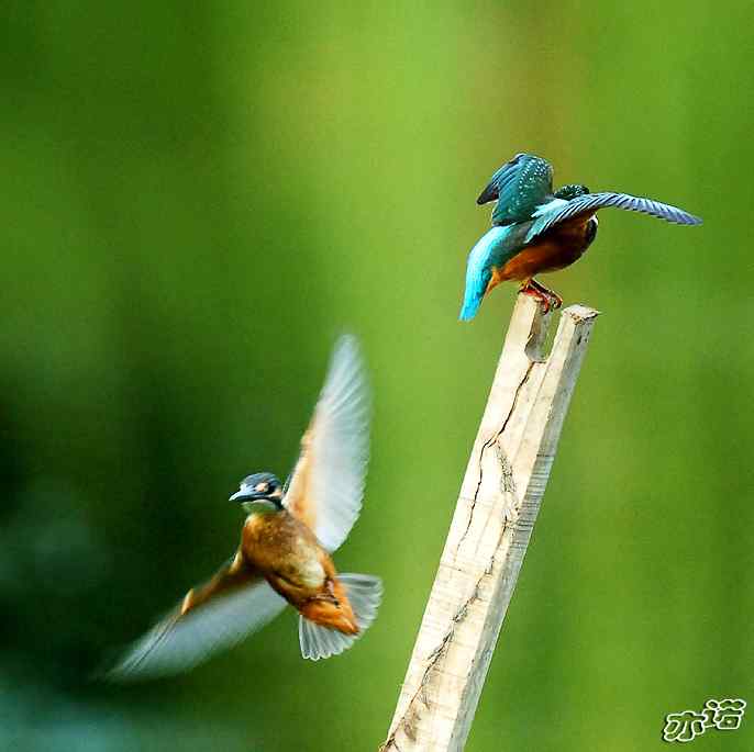 圆明园&nbsp;wbr路&nbsp;wbr我的地盘听我的