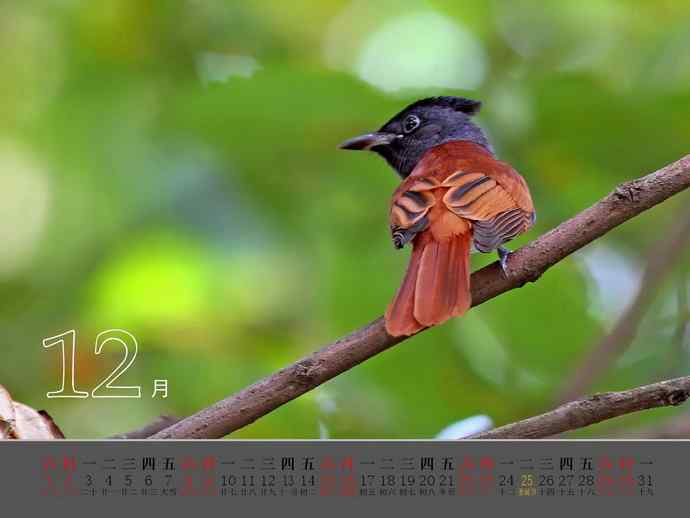 珍惜生命中的每一天-献给我的2012【图】