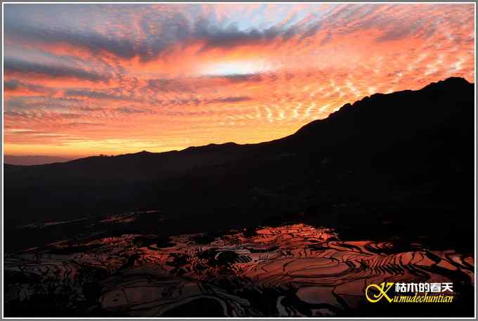 如梦的元阳梯田【照片】 如梦的元阳梯田【照片】