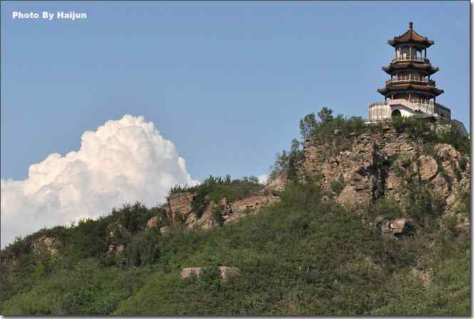 湿地拍鸟儿归来兮 点击图片或使用键盘← →翻页