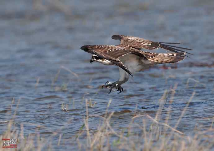 高手亦有失手时 高手亦有失手时