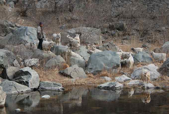 珍珠湖观鸟郊游