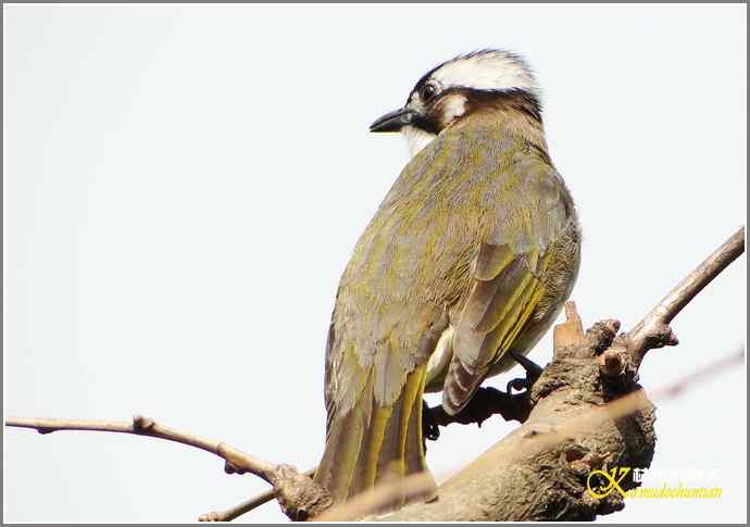 鈥溊垛澯脞湴租潯菊掌