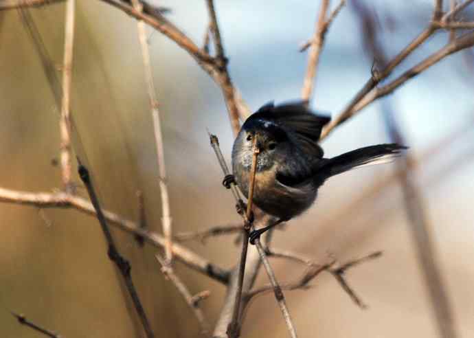 大年初二见到鈥溡恚ǔの玻┥饺糕潱锹及妫 大年初二见到鈥溡恚ǔの玻┥饺糕潱锹及妫