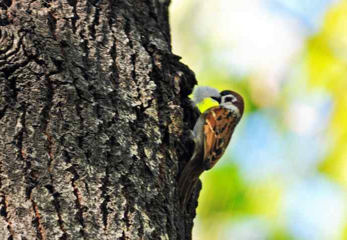 准备过冬（记实）