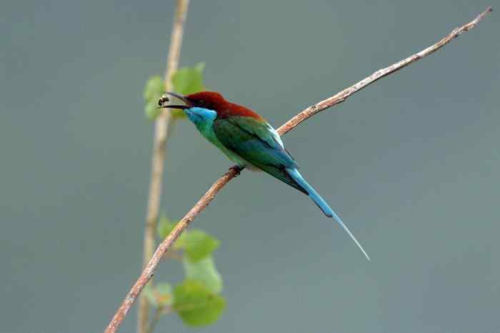 杭州老郑摄影续