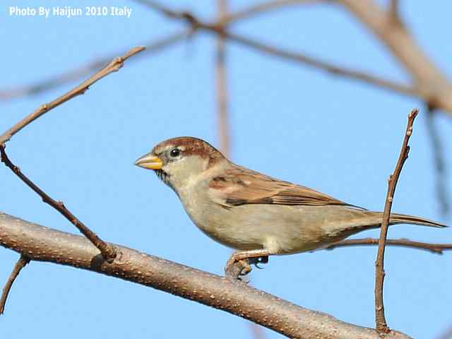 【亚平宁半岛之旅 wbr. wbr启程恢鸟】