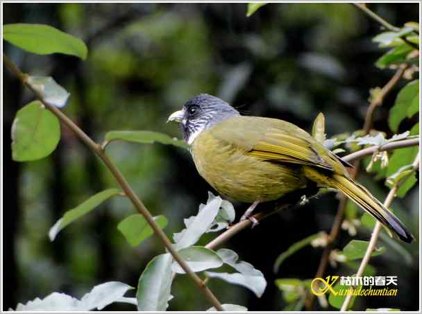 鈥湸蚰疋澦嫦搿菊掌