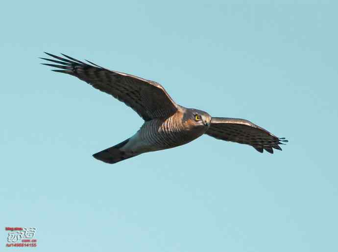 北京西山&nbsp;wbr路&nbsp;wbr金秋观猛