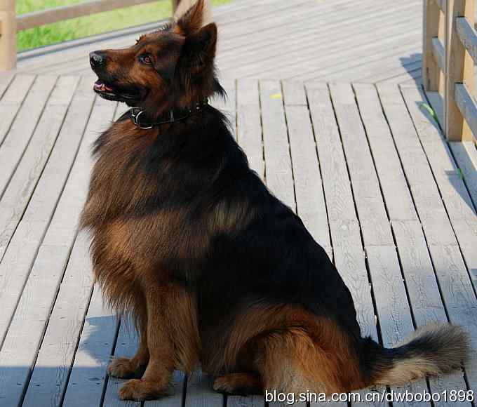 鸟友同游怀沙河