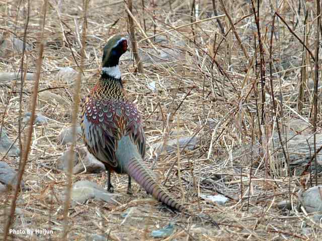 游走山水 猎摄河湾