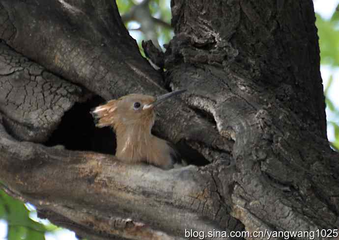 期盼（20分钟纪实片）