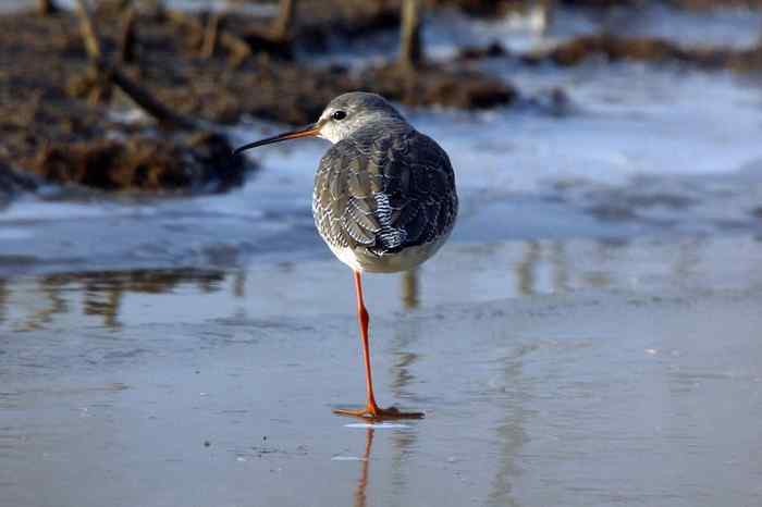 杭州老郑摄影续