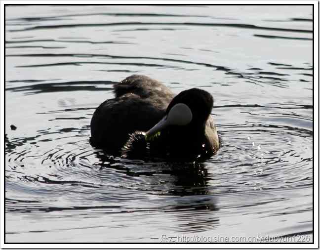 20111023-532_thumb1 20111023-532_thumb1