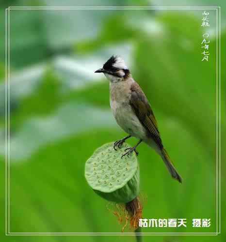 我与鈥湴淄佛恰綛ei】鈥