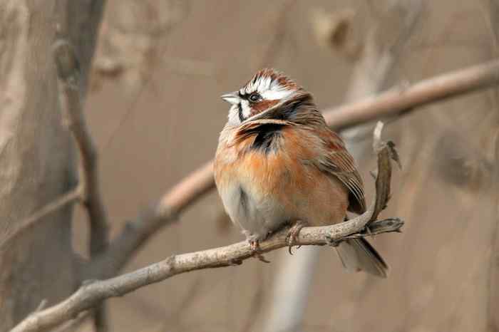 杭州老郑摄影续