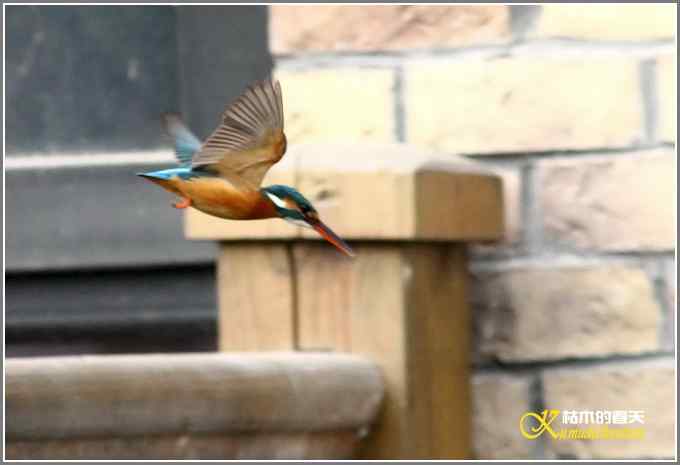 让鈥溞〈溻澐伞菊掌
