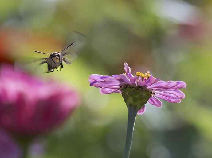 228.幸福像花儿一样美