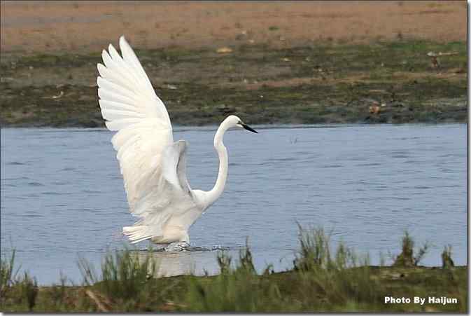  点击图片或使用键盘← →翻页