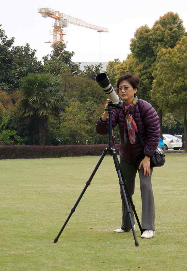 183.又见白鹡鸰--草地秀、菜鸟