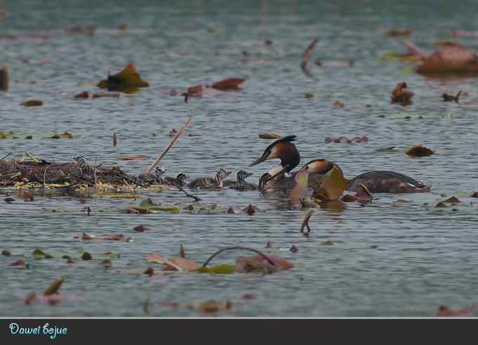 献给含辛茹苦的父母们