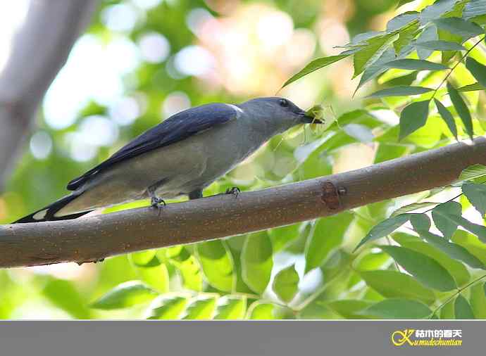 鈥湴祷揖轾V鈥澮蛔
