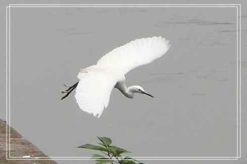 我的大生活之鈥溕隳衿濃1