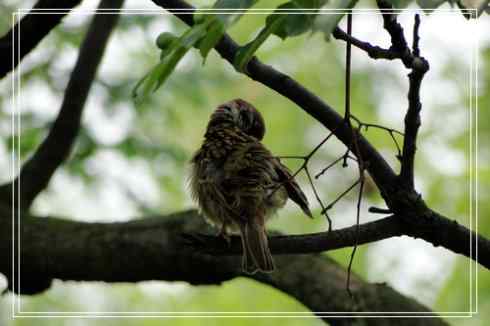 我的大生活之鈥溕隳衿濃2