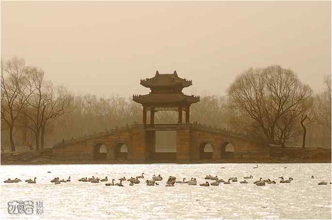  点击图片或使用键盘← →翻页