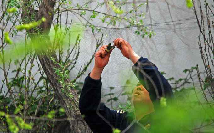 何时斩断刽子手？（组图）