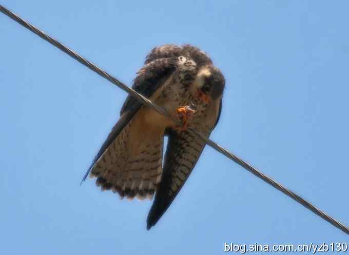 白河峡谷一日游（组图，11张图片）