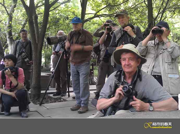 拍到鈥溄鹦馗桊垛