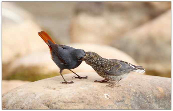 【I 'd never find a love like this】（父爱如山）