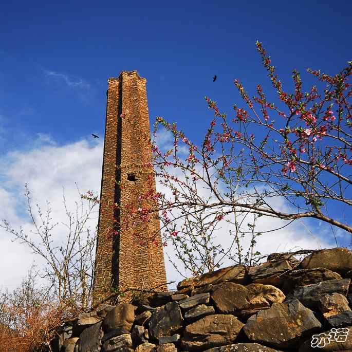 四川松岗&nbsp;wbr路&nbsp;wbr红嘴山鸦