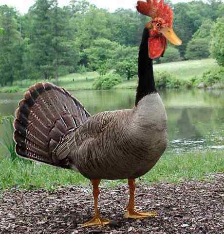 乱伦的后果 乱伦的后果