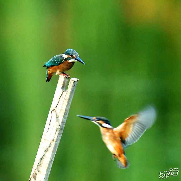 圆明园&nbsp;wbr路&nbsp;wbr我的地盘听我的