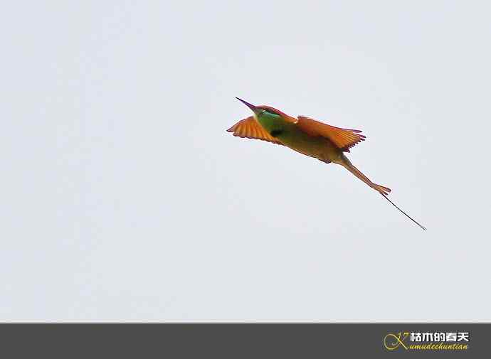 断线的鈥湻珞葩濃敿锹尖溌毯矸浠⑩