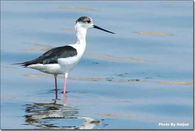  点击图片或使用键盘← →翻页