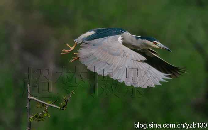 聆听超萌鈥溞∫光澢ㄗ橥迹24张图片）