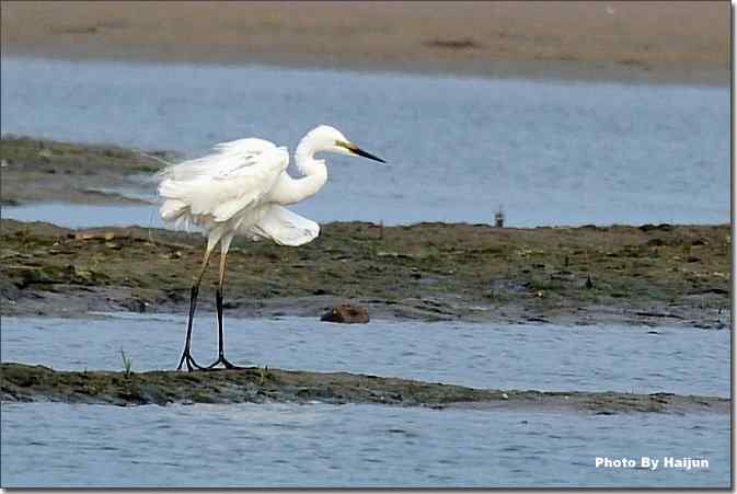  点击图片或使用键盘← →翻页